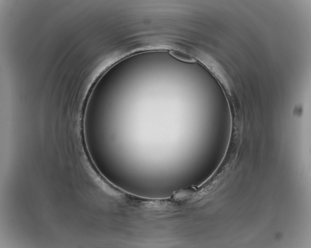 X0000097800805200803141052