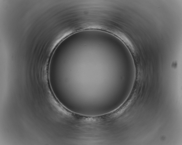 X0000097800806200803141052