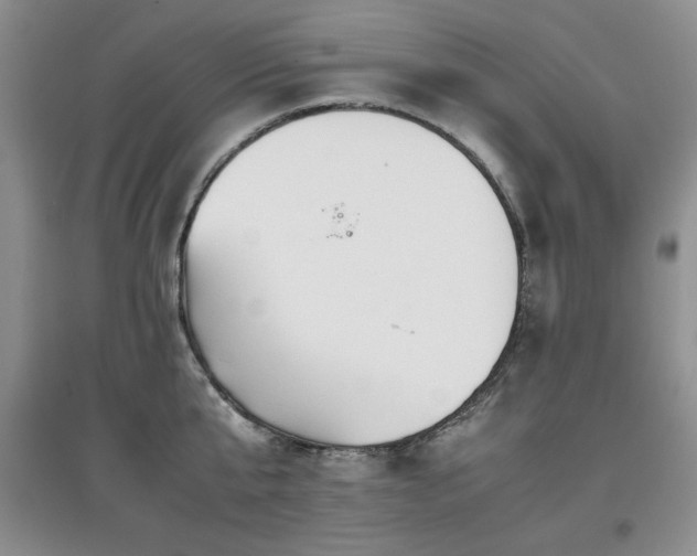 X0000097800807200803141052