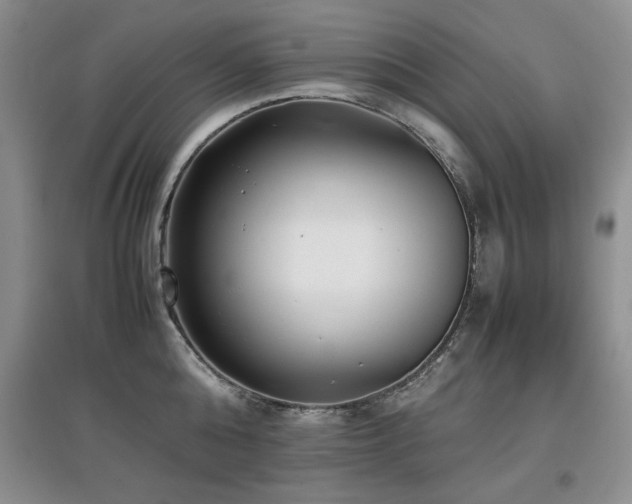 X0000097800808200803141052