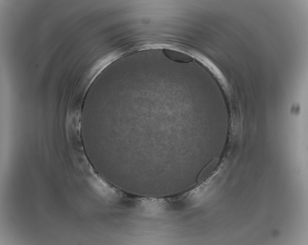 X0000097800809200803141052