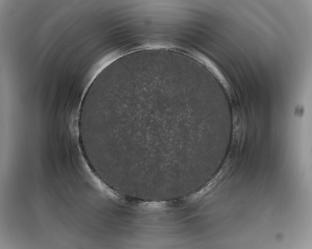 X0000097800810200803141052