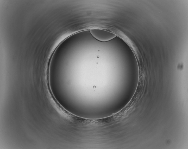 X0000097800811200803141052