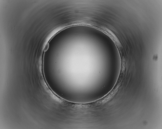 X0000097800812200803141052