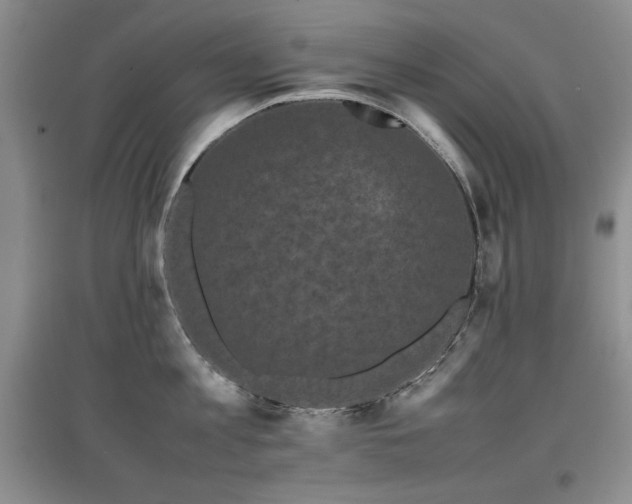 X0000097800813200803141052