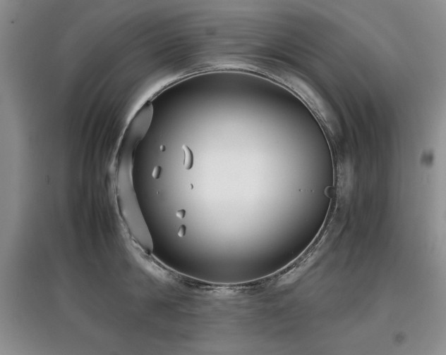 X0000097800814200803141052