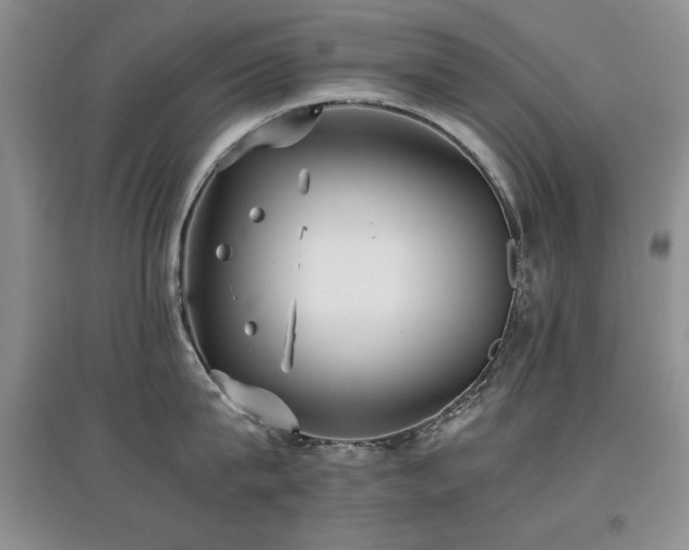 X0000097800815200803141052