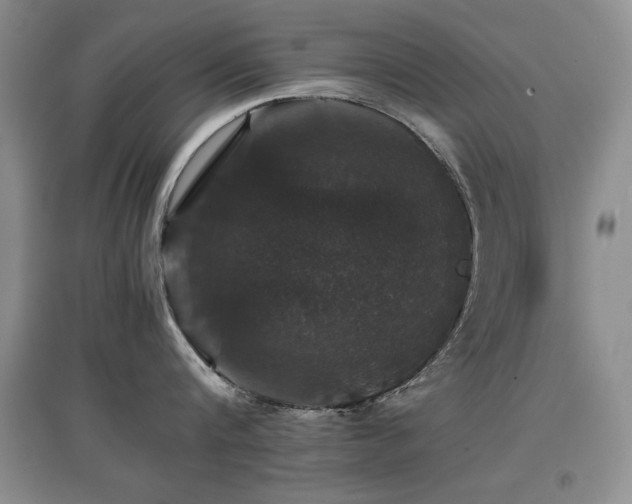 X0000097800816200803141052