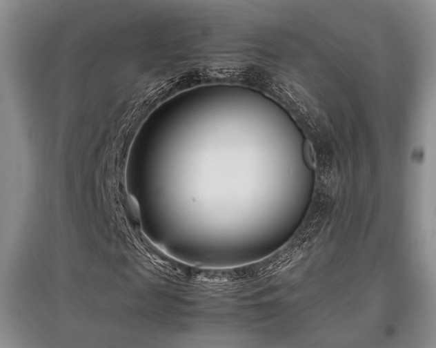 X0000097800817200803141052