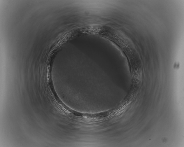 X0000097800818200803141052