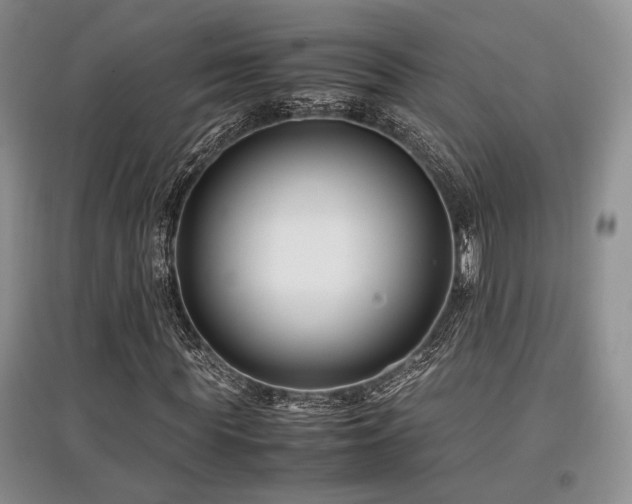 X0000097800819200803141052