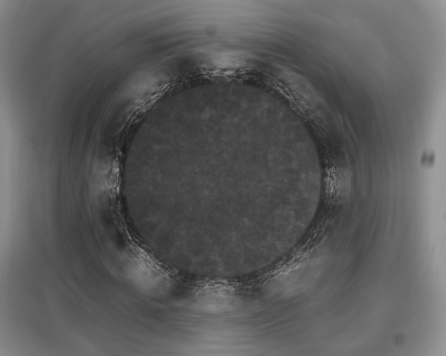 X0000097800820200803141052