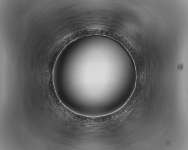 X0000097800821200803141052