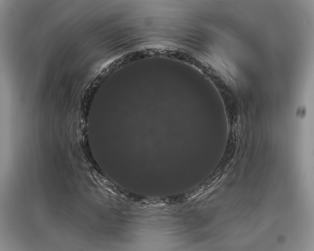 X0000097800822200803141052