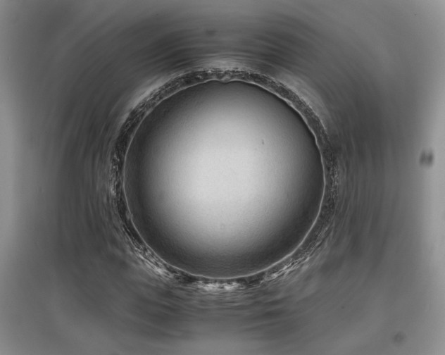 X0000097800823200803141052