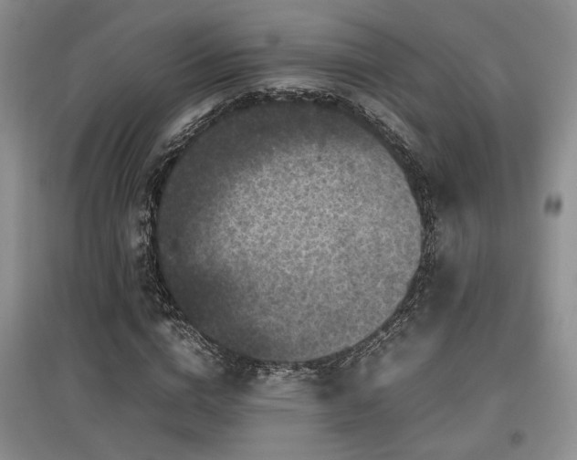 X0000097800824200803141052