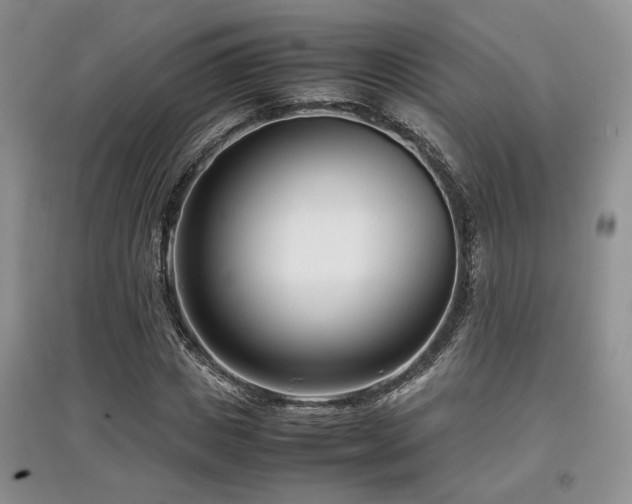 X0000097800825200803141052