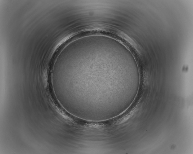 X0000097800826200803141052