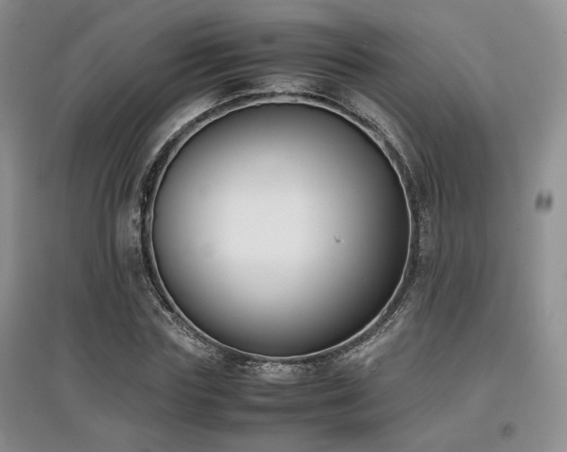 X0000097800827200803141052