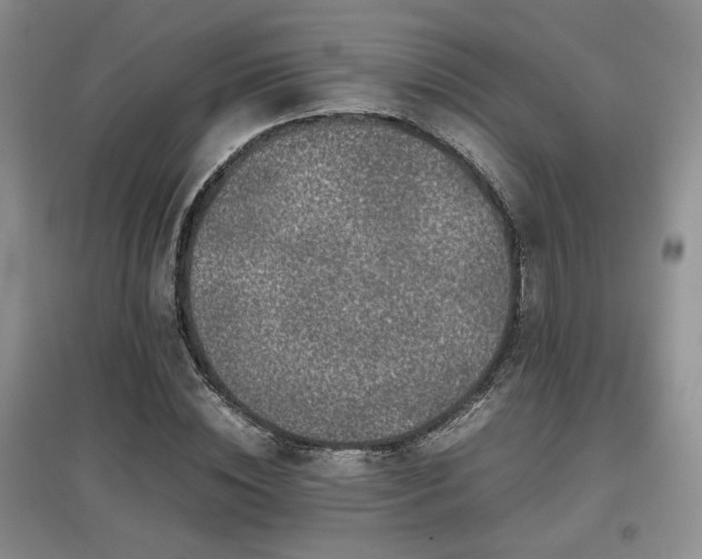 X0000097800828200803141052