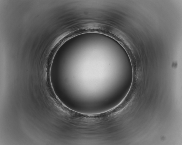 X0000097800829200803141052