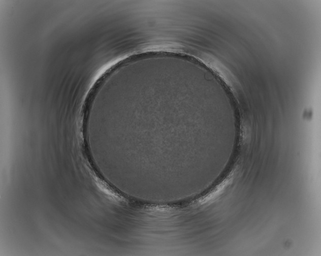 X0000097800830200803141052