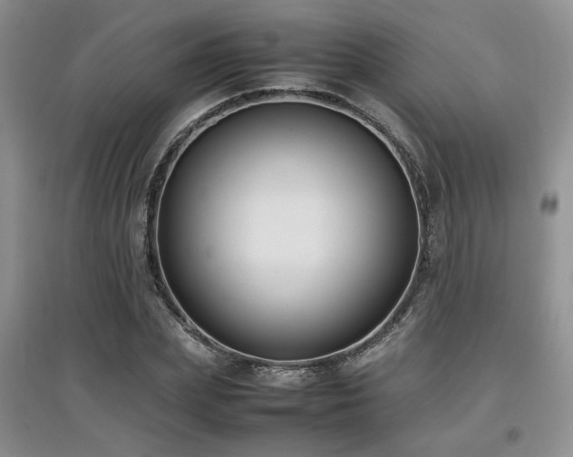 X0000097800831200803141052