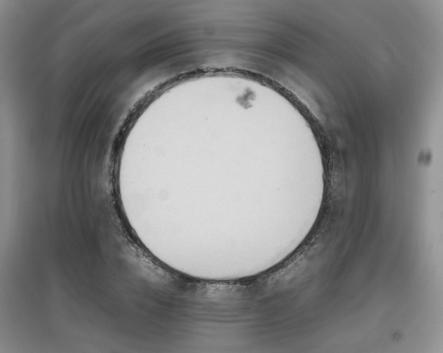 X0000097800832200803141052