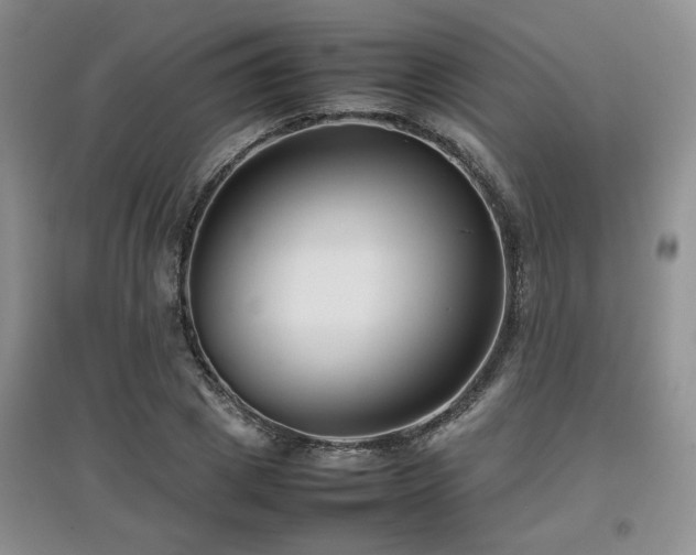 X0000097800833200803141052