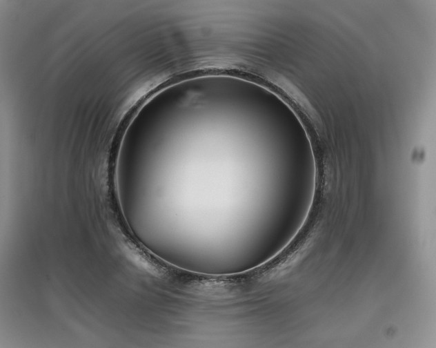 X0000097800834200803141052