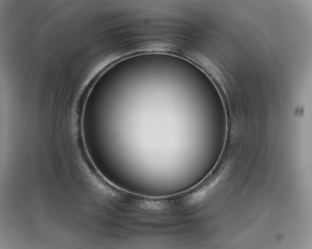 X0000097800835200803141052