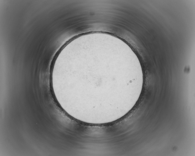 X0000097800836200803141052