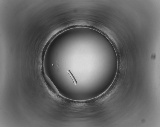 X0000097800837200803141052