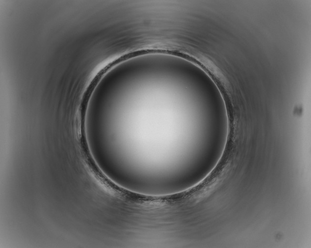 X0000097800838200803141052