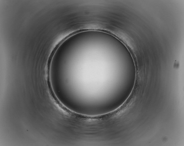 X0000097800839200803141052