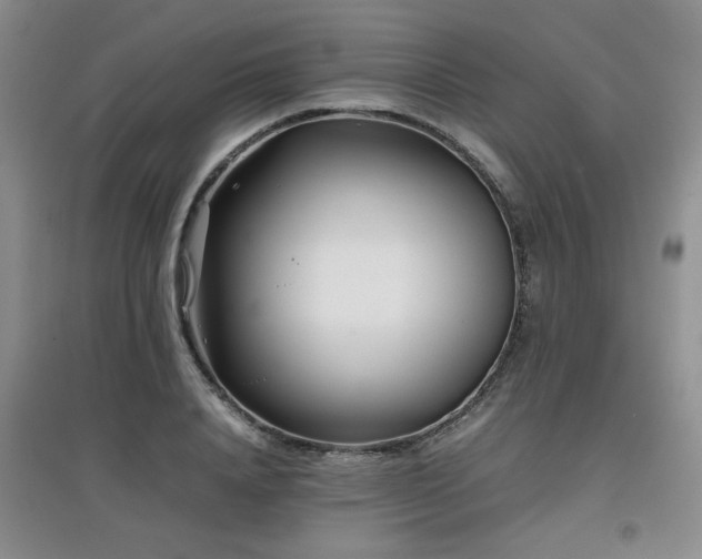 X0000097800840200803141052