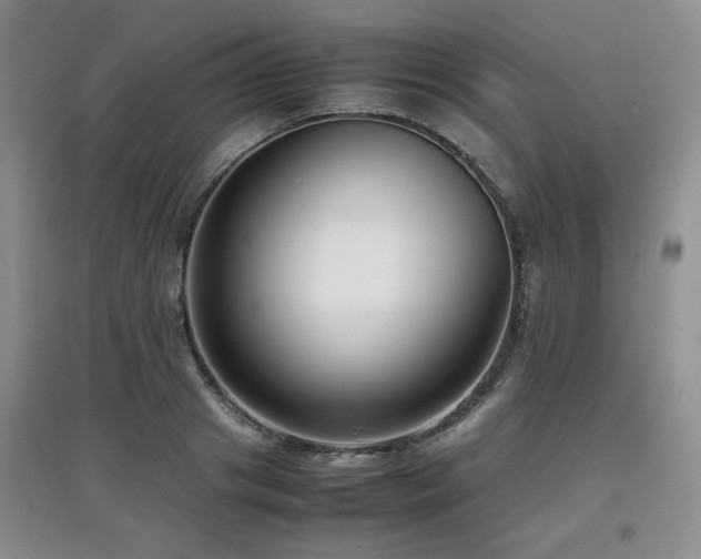 X0000097800841200803141052