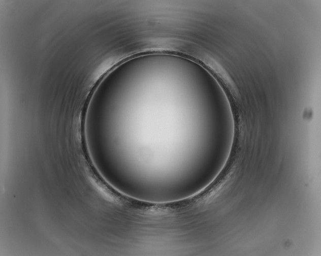 X0000097800842200803141052