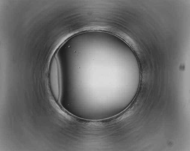 X0000097800844200803141052