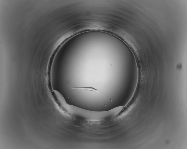 X0000097800845200803141052