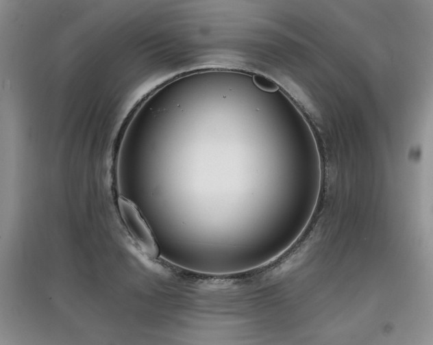 X0000097800846200803141052