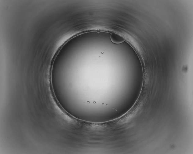 X0000097800847200803141052