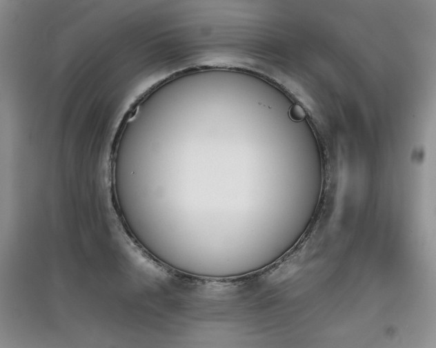 X0000097800848200803141052