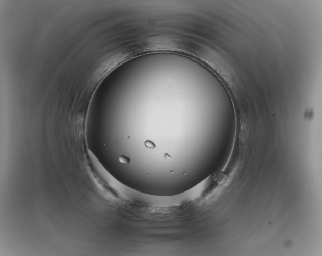 X0000097800849200803141052