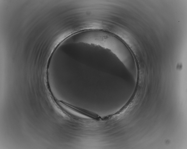 X0000097800850200803141052