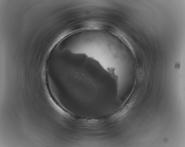 X0000097800851200803141052