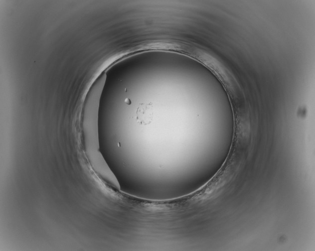 X0000097800852200803141052