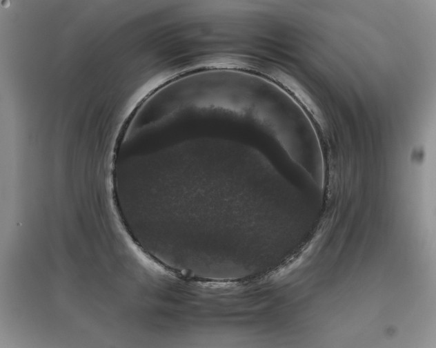 X0000097800853200803141052