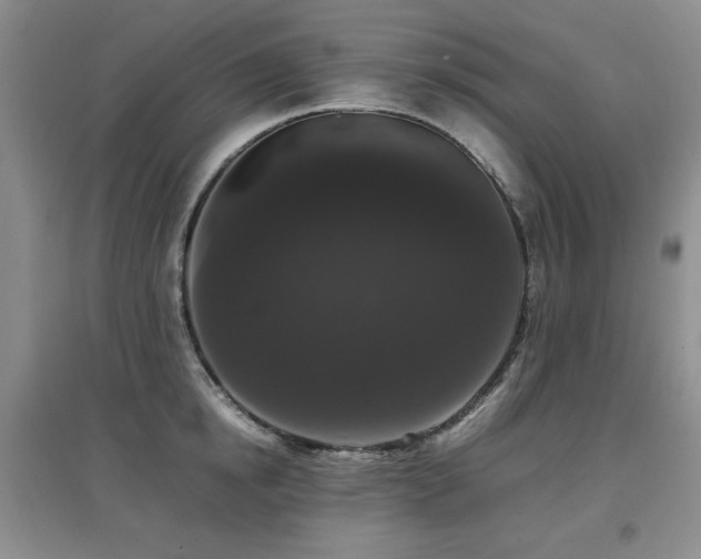 X0000097800854200803141052