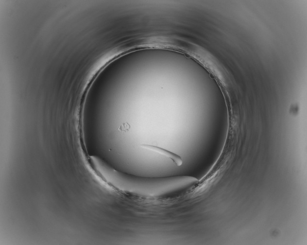 X0000097800855200803141052